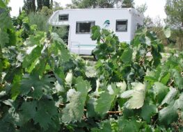 010 -  2002 - bei Fleurie - F